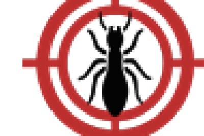 Termite Treatment Services: Protecting Your Property from Silent Destroyers