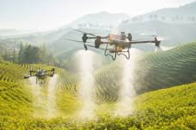 Top 7 Agricultural Drone Services Every Farmer Should Know