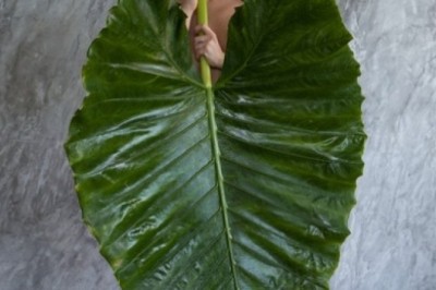 Male Escorts in Cardiff: A Unique Chapter in Your Travel Story