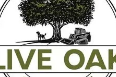 Bulldozer Dozer: Power and Efficiency for Heavy-Duty Construction