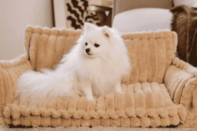 Cozy Sofa Beds for Dogs and Cats of All Sizes