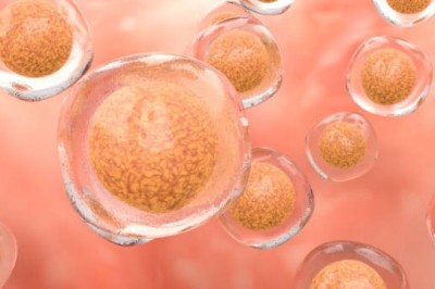 Innovations in Biotechnology Membrane Systems