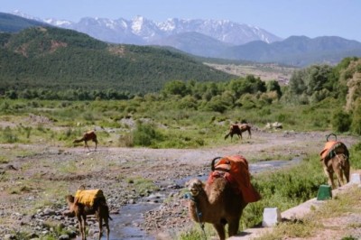 Atlas Mountains Map: Hidden Villages, Valleys, and Scenic Routes