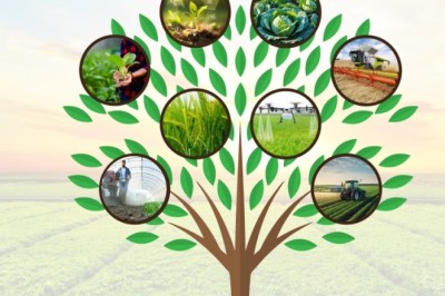 Global Farm Imaging and Sensing Systems Market Industry Overview