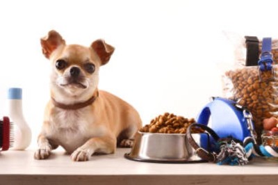 Rising Trends in Pet Treat Products Market Global Industry Report