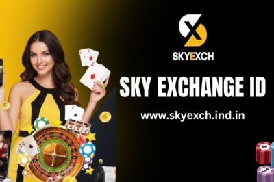 Sky Exchange ID Usage: How Users Interact with the Platform