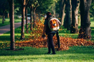 Leaf Removal Service In Hattiesburg – Keep Your Property Clean, Safe & Beautiful All Season Long