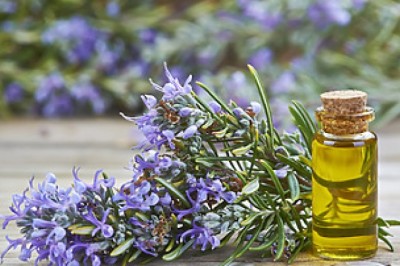 Best Time to Apply Rosemary Oil for Faster Hair Growth