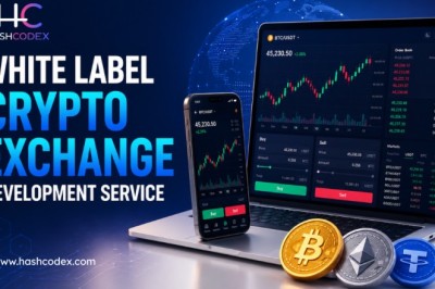 Why Choosing a Trusted White Label Crypto Exchange Provider Feels Difficult Today?