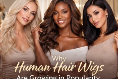 Why Human Hair Wigs Are Growing in Popularity