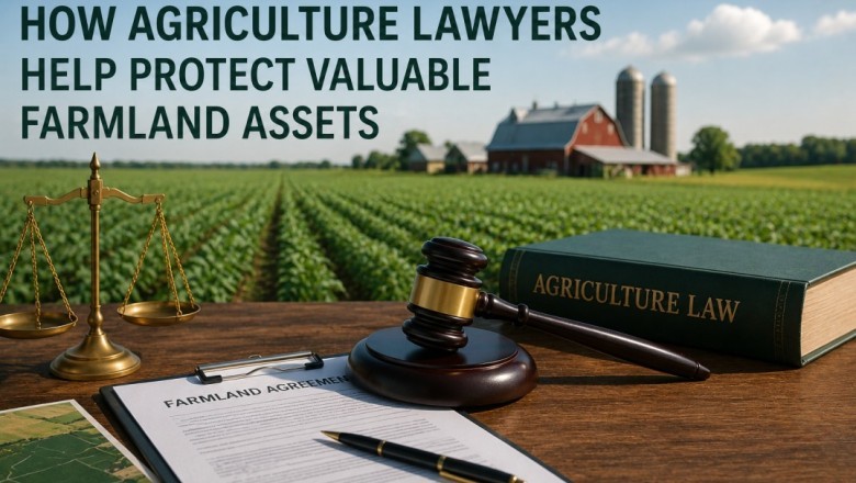 How Agriculture Lawyers Help Protect Valuable Farmland Assets | Websyndic