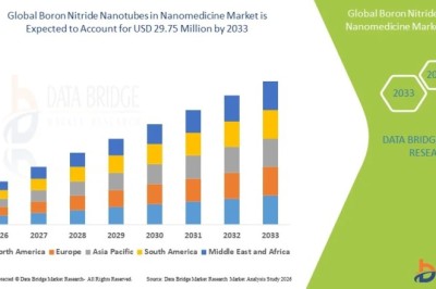 Boron Nitride Nanotubes in Nanomedicine Market Share Analysis and Business Strategy Assessment