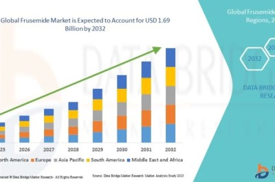 Frusemide Market Insights Report: Market Size, Share and Future Trends