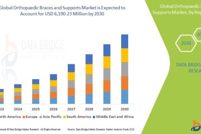 Orthopaedic Braces and Supports Market Research Report: Competitive Landscape and Industry Insights