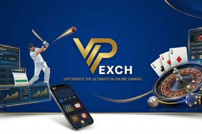 Why Users Choose Vipexch for Real-Time Match Action: A Deep Dive into Digital Sports Excellence
