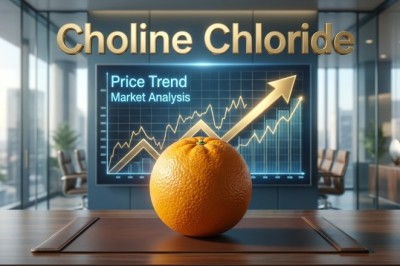 Choline Chloride Price Trend: Market Insights, Prices, and Forecast Outlook