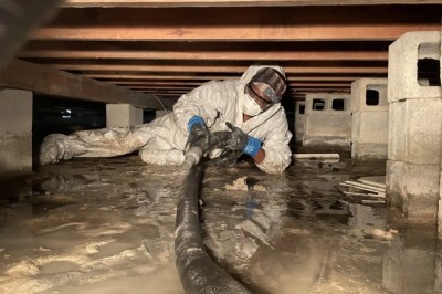 Expert Rodent and Insect Removal provides services in Tacoma, WA.
