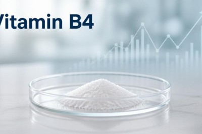 Vitamin B4 Price Trend: Market Insights, Prices, and Forecast Outlook