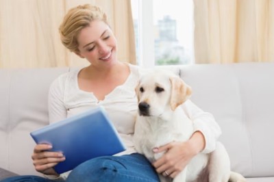 Understanding the Average Cost of a Pet Sitter and How to Find a Trusted Pet Sitter
