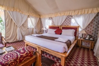 Budget Camping in Nubra Valley: Experience the Best Organic Ladakh Cuisine with a Trusted Travel Agency