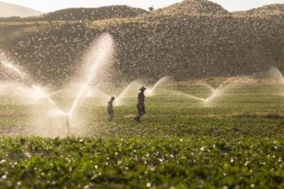 Sprinkler Irrigation Systems Market Driven by Water Efficiency