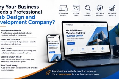 Why Your Business Needs a Professional Web Design and Development Company?