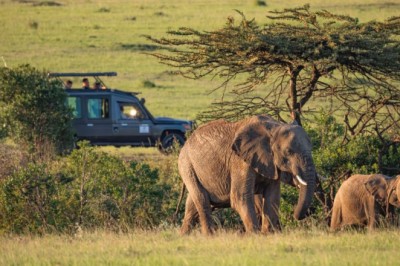 So bereiten Sie sich auf Ihr nächstes Tansania-Safari-Abenteuer in Ostafrika vor