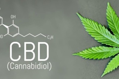 U.S. Cannabidiol (CBD) Market Outlook: Market Size, Share, Demand, and Forecast