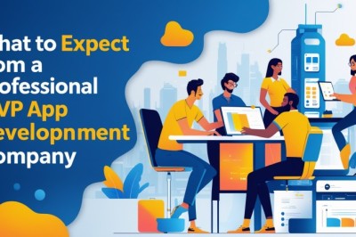 What to Expect from a Professional MVP App Development Company