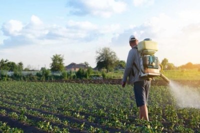 Fertilizer Company: What Farmers Should Look?
