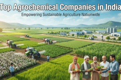 Top Agrochemical Companies in India: Defining Future Farming