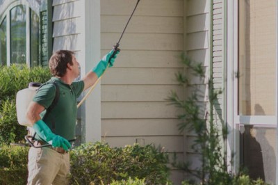 Safe and Effective Wildlife and Insect Removal Solutions for Keller Property Owners