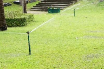 Lawn Aeration in Lethbridge: Why Core Aeration Is the Secret to a Thicker, Healthier Lawn