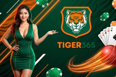 Tiger365 Account Recovery & Password Safety Guide 2026